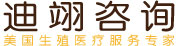 DIYI迪翊咨询