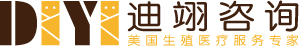 迪翊咨询